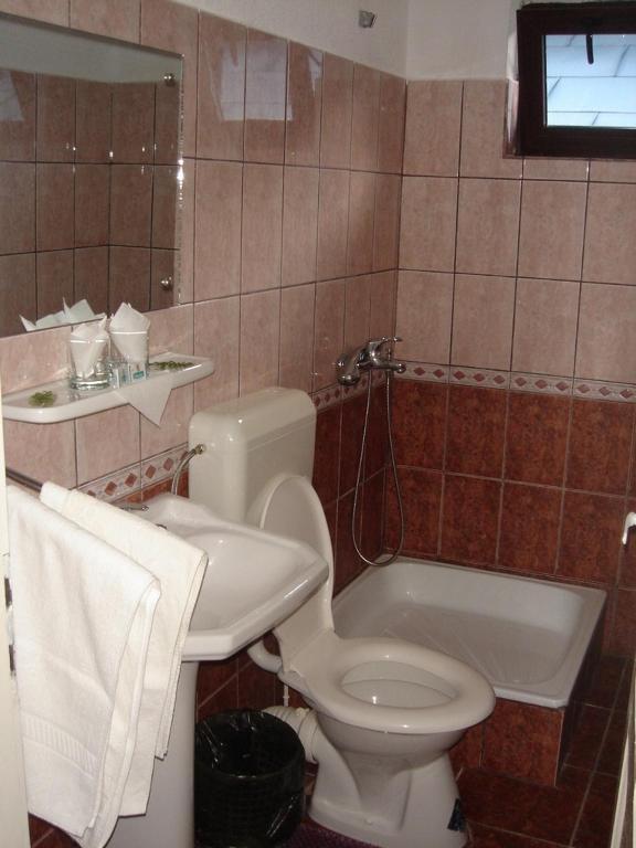 Vila Cristina Ceahlau Room photo